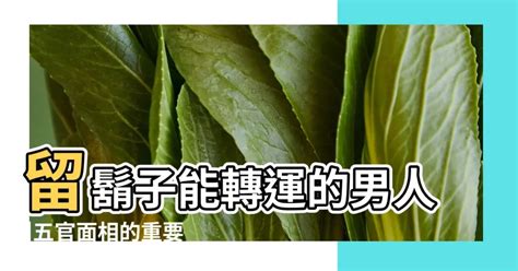 留鬍子招財|什麼面相的男人留了鬍子就能留住財運